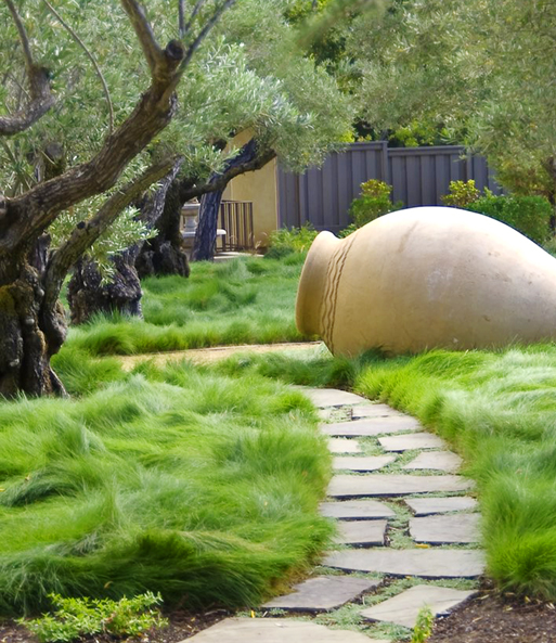 Gräser-Teppich 'Carex Remota'