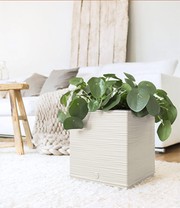 EMSA® CASA COSY Würfel 30x30x31cm 'weiß'