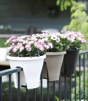 Corsica Flower Bridge® anthrazit, 30 cm ø