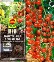 Snack-Tomate 'Rubylicous' F1 & COMPO® SANA® Tomaten- und Gemüseerde