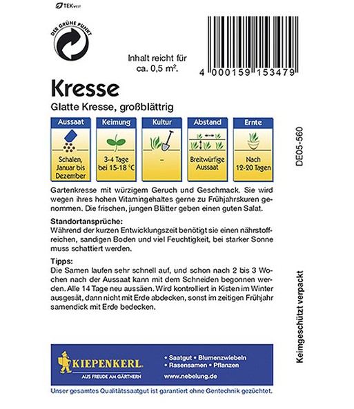 Glatte Kresse, großblättrig