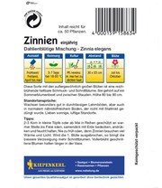 Zinnie 'Dahlienblütige Mix'