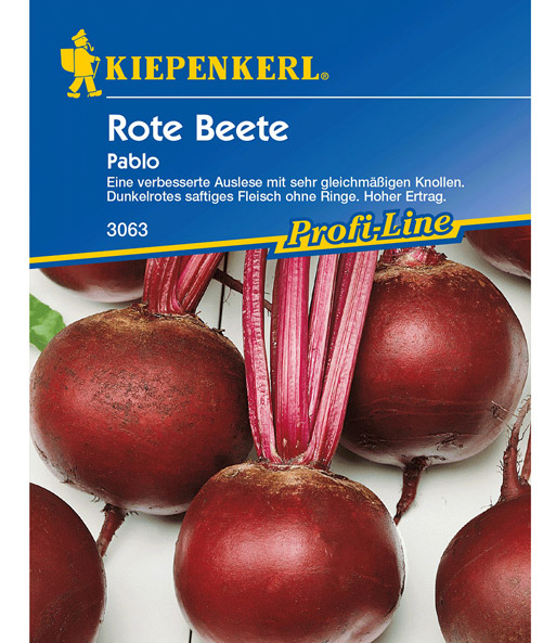 Rote Beete 'Pablo'