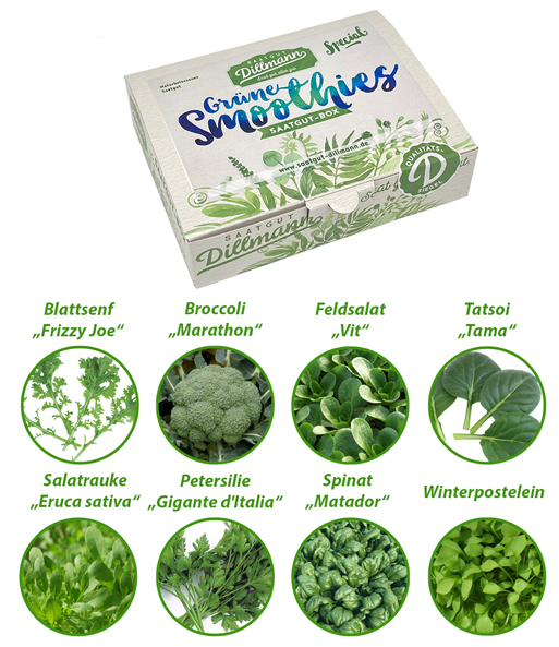 Grüne Smoothies Saatgut-Box