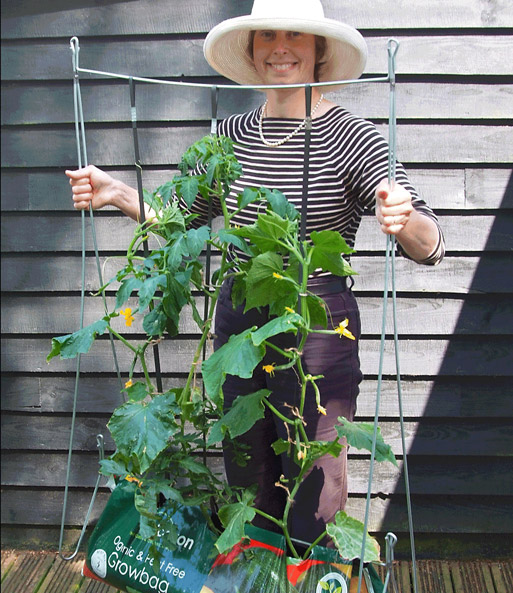 Rankgestell 'Plant & Grow'