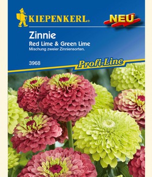 Zinnie 'Red Lime & Green Lime'