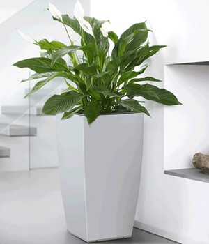 EMSA® CASA BRILLIANT Säule 57 cm hoch 'weiß'