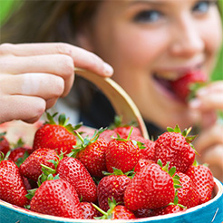 Erdbeeren