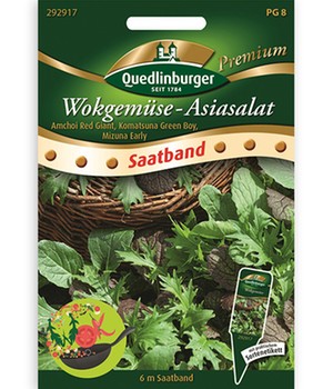 Wokgemüse 'Asiasalat'