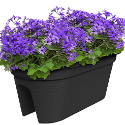 Blumenkasten