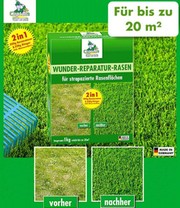 Wunder-Reparatur-Rasen