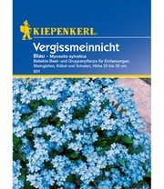 Vergissmeinnicht 'Blau'