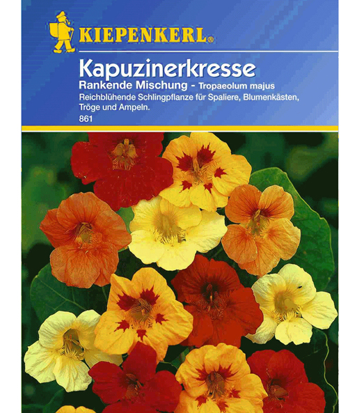 Rankender Kapuzinerkresse-Mix