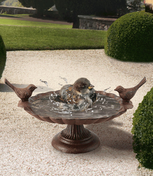 Vogelbad Wildvögel