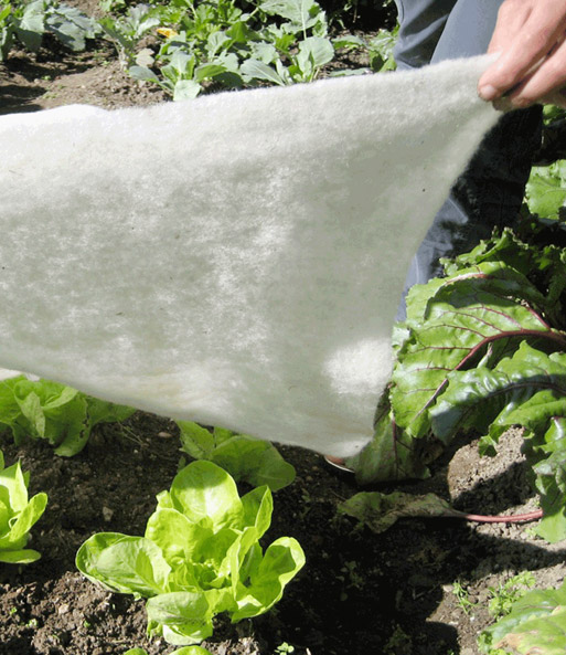 Frostschutzvlies Aus Schafwolle 1a Qualitat Baldur Garten