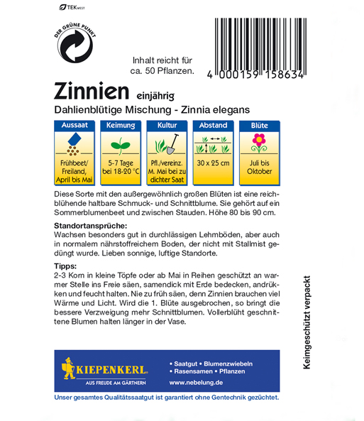 Zinnie 'Dahlienblütige Mix'