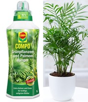 COMPO®  Palmendünger & Chamaedorea Palme ca. 30 cm hoch