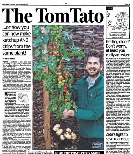 TomTato®