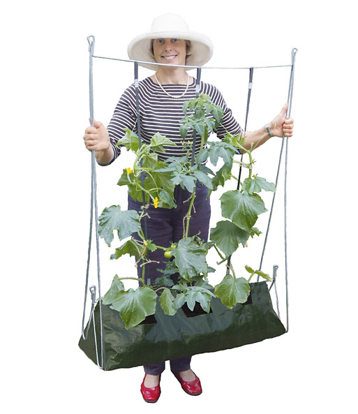 Rankgestell 'Plant & Grow'