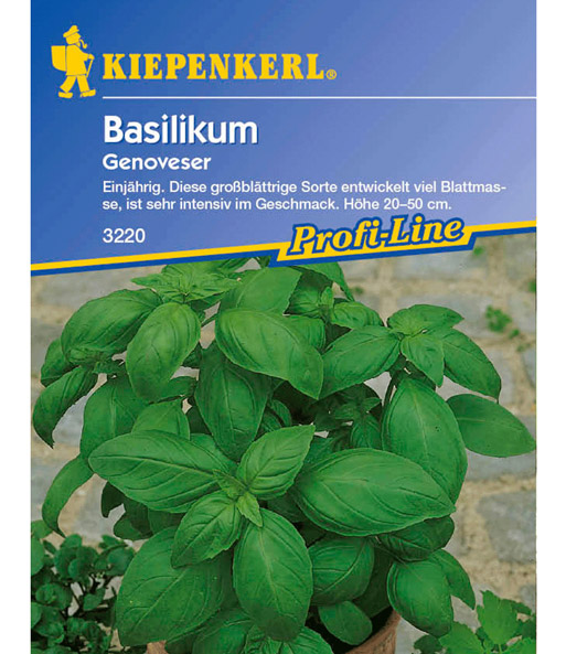 Basilikum 'Genoveser'