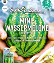 Mini-Wassermelone Mini Love F1