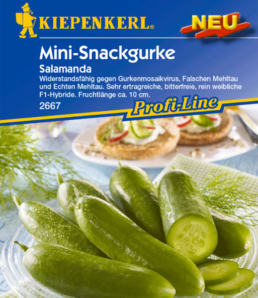 Snackgurke 'Salamanda' F1