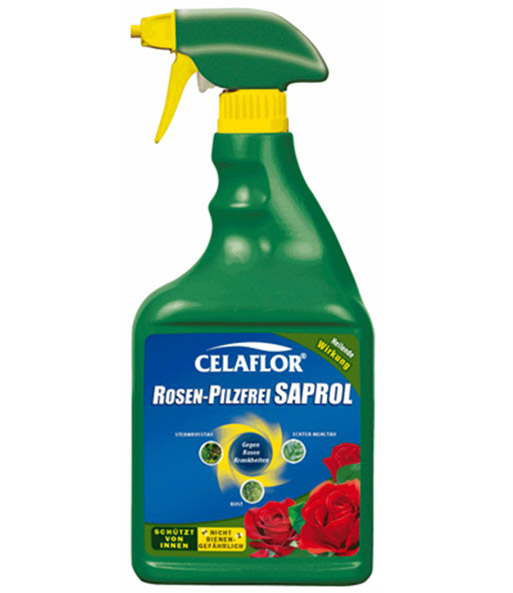CELAFLOR® Rosen-Pilzfrei Saprol® Spray