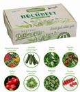 Hochbeet Saatgut-Box