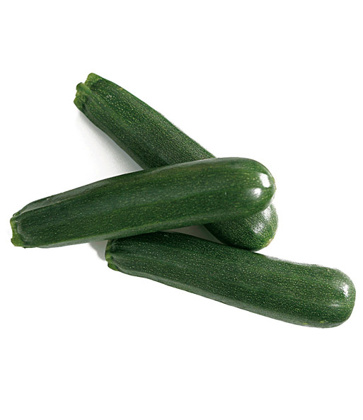 Veredelte Zucchini 'Kimber' F1