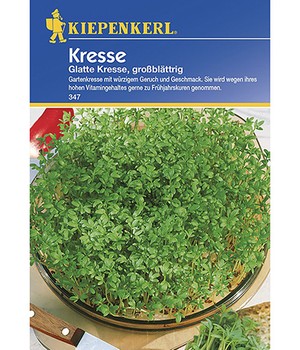 Glatte Kresse, großblättrig