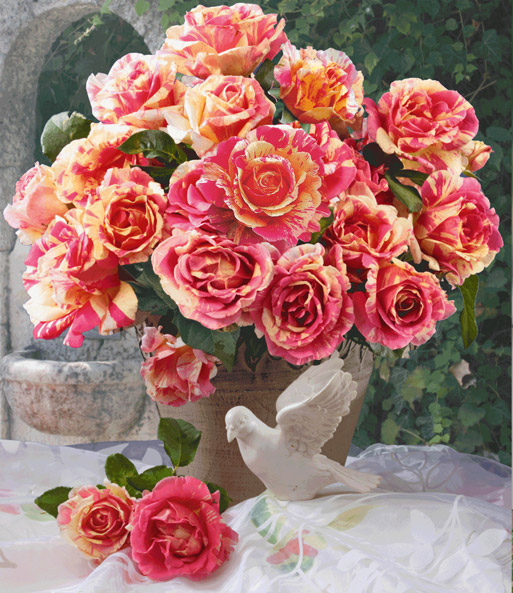 Maler-Rose® 'Claude Monet®'