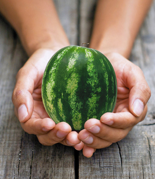 Mini-Wassermelone 'Mini Love' F1