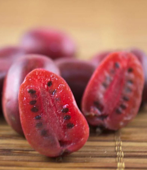Die roten Kiwis aus der DUO-Kiwi-Turm-Kollektion wurden mittig halbiert und zeigen Ihr saftiges Fruchtfleisch.