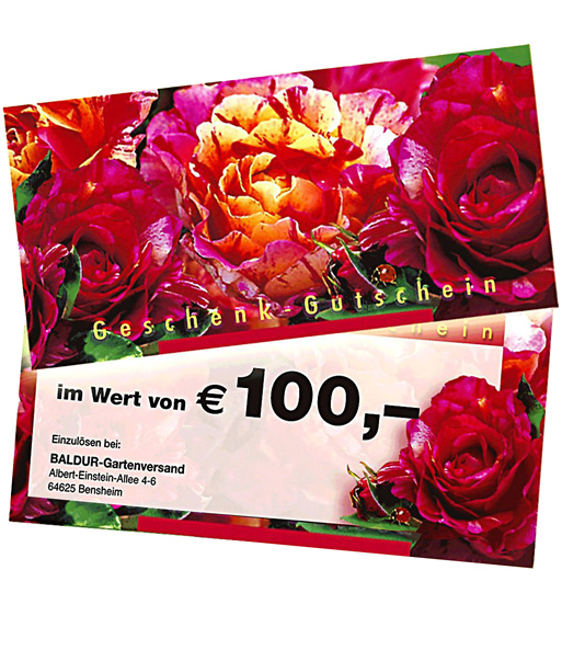 Geschenk-Gutschein im Wert von 100,- EUR