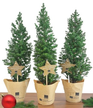 Mini-Weihnachtsbaum 3er-Set 