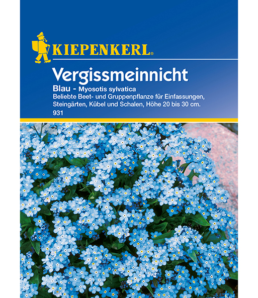 Vergissmeinnicht 'Blau'