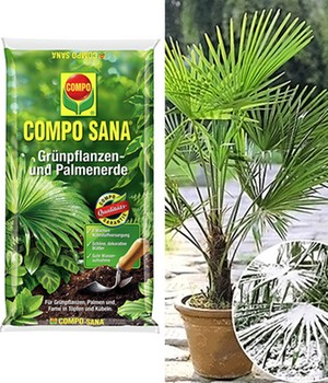 COMPO® SANA® Palmenerde & Winterharte Kübel-Palme