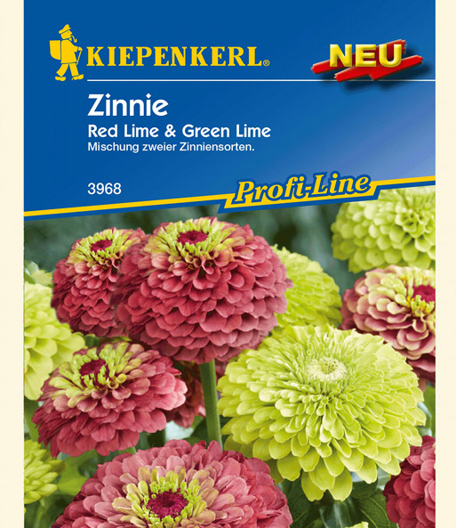 Zinnie 'Red Lime & Green Lime'