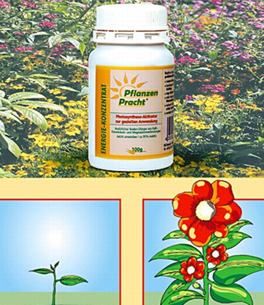Energie-Sprüh-Konzentrat Pflanzen-Pracht®