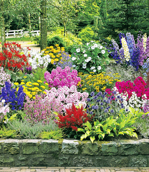 Die 12 Pflanzen des bunten Staudenbeets 'Multi-Colour' blühen bunt nebeneinander in einem Beet am Wegesrand.