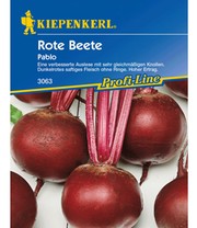 Rote Beete 'Pablo'