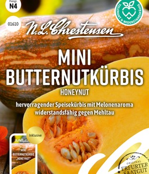 Mini-Butternutkürbis 'Honeynut'