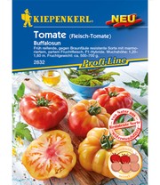 Fleisch-Tomate 'Buffalosun' F1