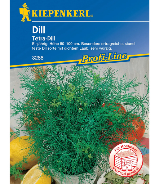 Dill 'Tetra'