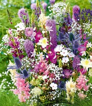 12er Stauden-Mix 'La vie en rose'