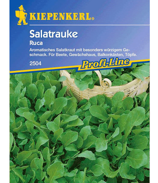 Rucola/Salatrauke