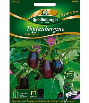 Topf-Aubergine 'Patio Baby' F1