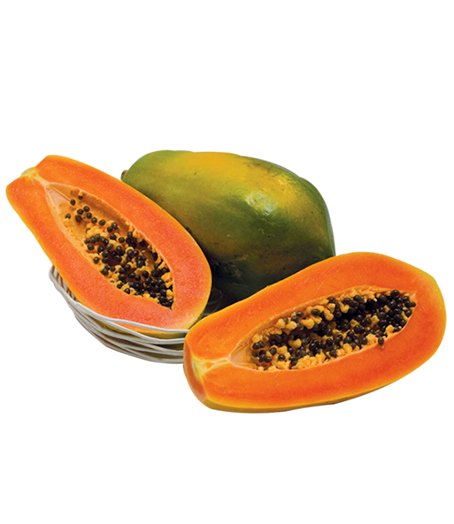 Die Papaya „Sunnybees“ steht in einem Topf auf einem Podest im Garten. Die reifen Früchte werden eingeblendet.