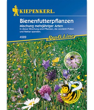 Bienenfutterpflanzen Mischung, mehrjährig