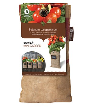 Mini-Garten BIO-Kirschtomaten